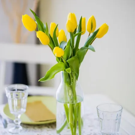 Myflat 802 Apartment Siofok