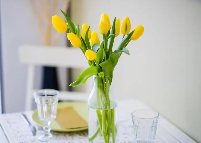 Myflat 802 Apartamento Siófok